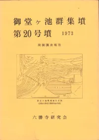 ��Ʋ���ӷ���ʯ��20��ʯȯ��Ĵ�����