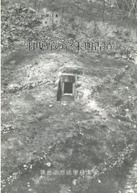 ������ν�������ʯ