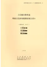 �������/��Ƿ�ư���/�����İ���