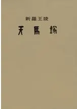 新羅王陵 天馬塚 発掘調査報告書 日本語版