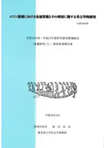ᥳήˤ°񸻤ȤѤ˴ؤ͸ųŪ