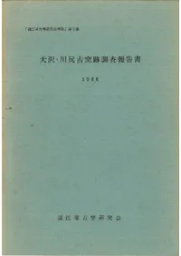 �������������Ĵ������ 