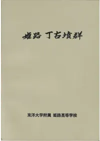 ɱϩ����ʯ��