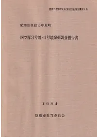 �ͥ���3��ʯ��4��ʯȯ��Ĵ������