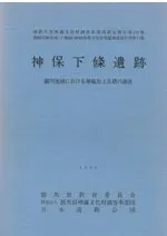 神保下條遺跡 鏑川流域における埴輪出土古墳の調査