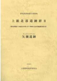 上組北部遺跡群2 矢瀬遺跡