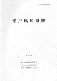 ������ƽ����