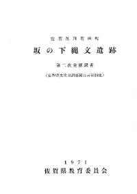 ��β���ʸ���ס�����ȯ��Ĵ��