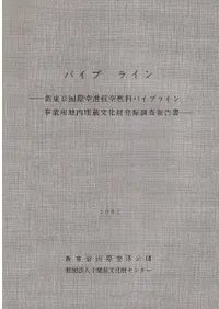 �ѥ��ץ饤��