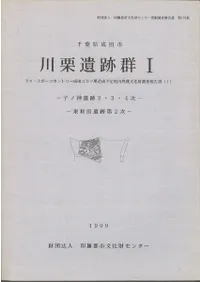 ���ո����Ļԡ�����׷�1