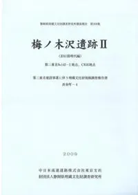 梅ノ木沢遺跡2 (旧石器時代編)