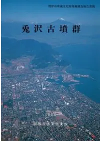 ������ʯ��