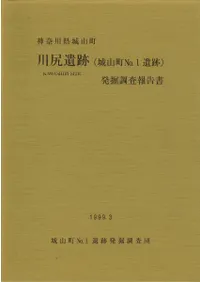 �����(�뻳ĮNo.1����)ȯ��Ĵ������