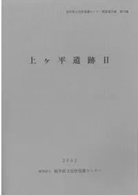 ���ʿ����2