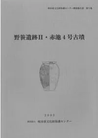 �������2������4���ʯ