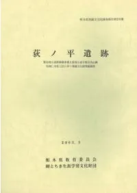 ����ʿ����