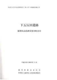 ����ȿ�İ���