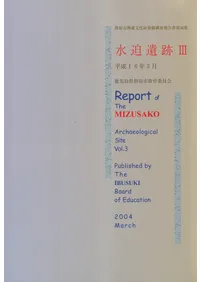 �������ס�3