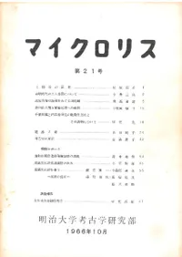 MICROLITH(�ޥ������ꥹ)����21��