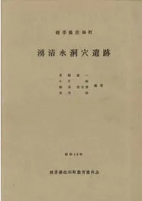 ͯ����ƶ�����