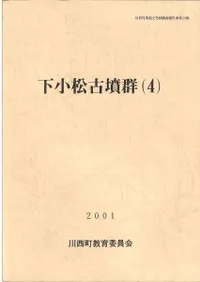 ��������ʯ��(4)