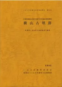 ������ʯ��������ʯ�����������������Ĵ��