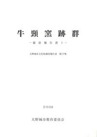 �������׷�����������1