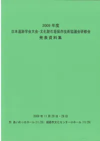 2009ǯ�١����ܰ��׳ز����ʸ�����г���¸���Ѷ��Ĳ񸦽���ȯɽ������