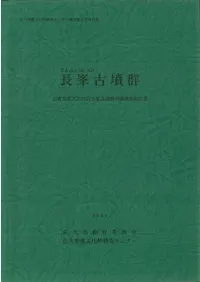 Ĺ����ʯ��