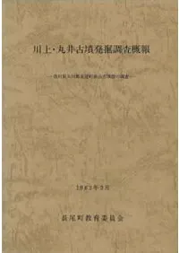 ��塦�ݰ��ʯȯ��Ĵ������