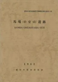 �Ͼ�(������)����