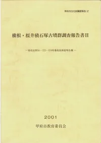 ���������������͸�ʯ��Ĵ������2