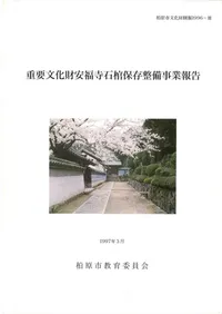 ����ʸ�����ʡ���д���¸�����������