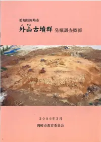 ������ʯ����ȯ��Ĵ������