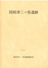 �����Ż��������