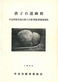 �������׷��������Ժ����ʬ��Ҹ�ʯ(ʯ��)��Ĵ�����