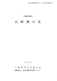 ���겣����