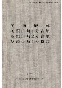 ��Ƭ���ס���Ƭ����1���ʯ����Ƭ����2���ʯ����Ƭ����1�沣��