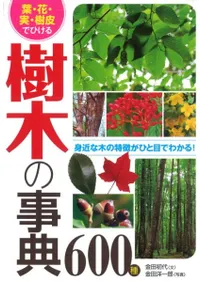 �ա��֡��¡�����ǤҤ��롡���ڤλ�ŵ600��