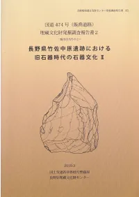 Ĺݺ渶פˤддʸ2