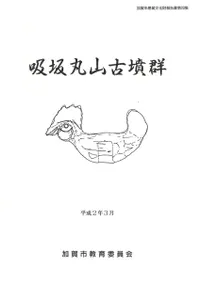 �ۺ�ݻ���ʯ��