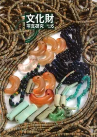 ʸ����̿����� vol.6�� �ý�:�̿��ˤ�뵭Ͽ����¸