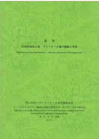 �������賤���߳��ž롡���饹���θž�ε�ǽ������