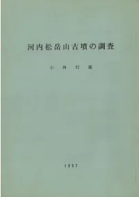 ���⾾�ٻ���ʯ��Ĵ��