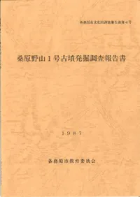 �����1���ʯȯ��Ĵ������