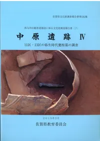 渶41113ᱴĴ