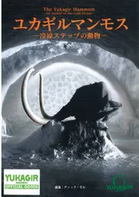 楫ޥ⥹ॹƥåפưʪ