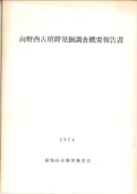 ��������ʯ��ȯ��Ĵ����������(1974)