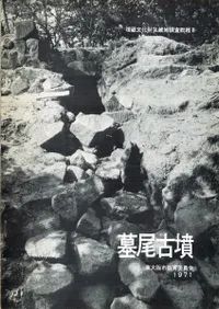 ������ʯ