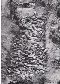 ���ڻ���ʯ����1���ϰϳ�ǧĴ������